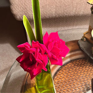 Meet your Posher, Linda